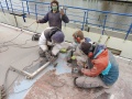 De stammers hard aan het werk