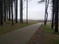 Winterwandeling 2015 (14)